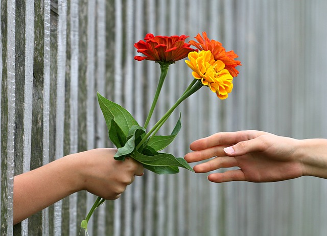 předávání květiny
